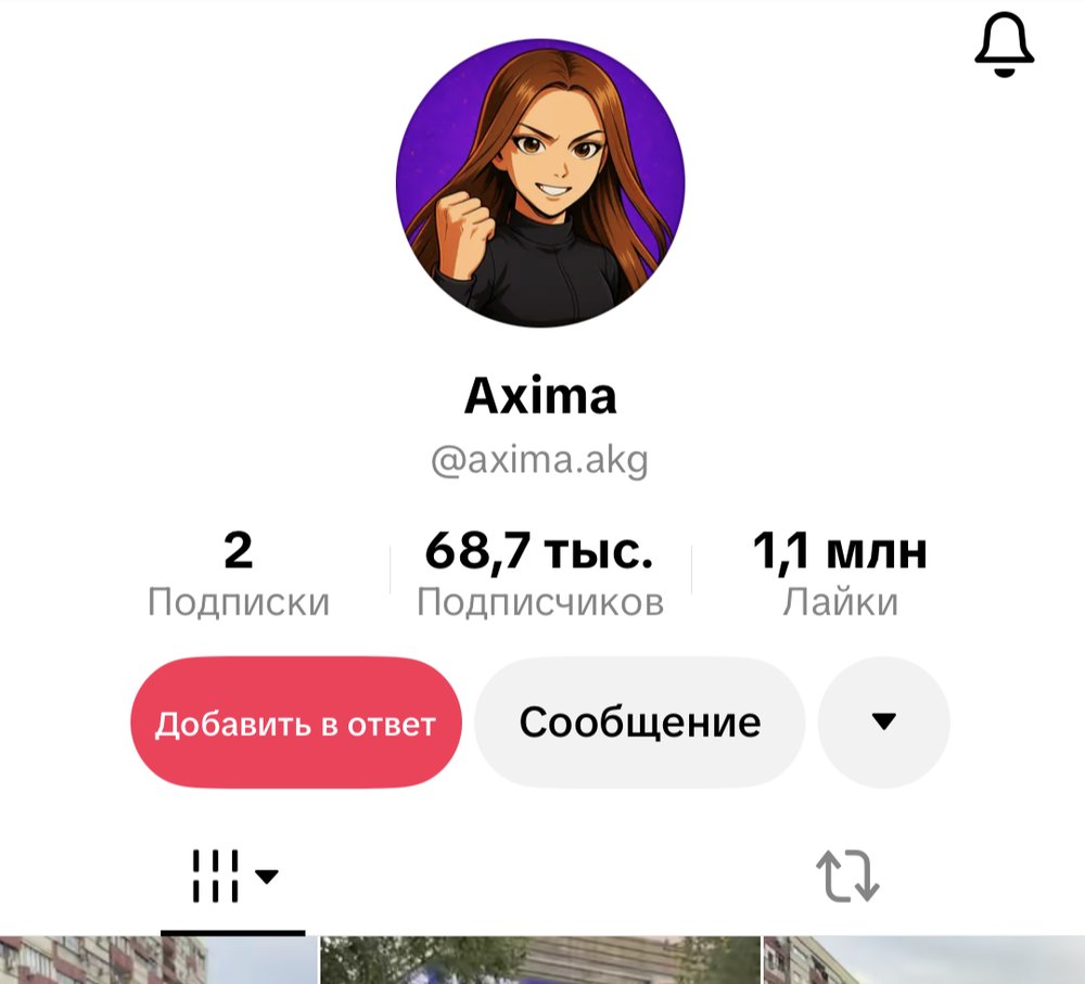 Профиль Ахимы в TikTok